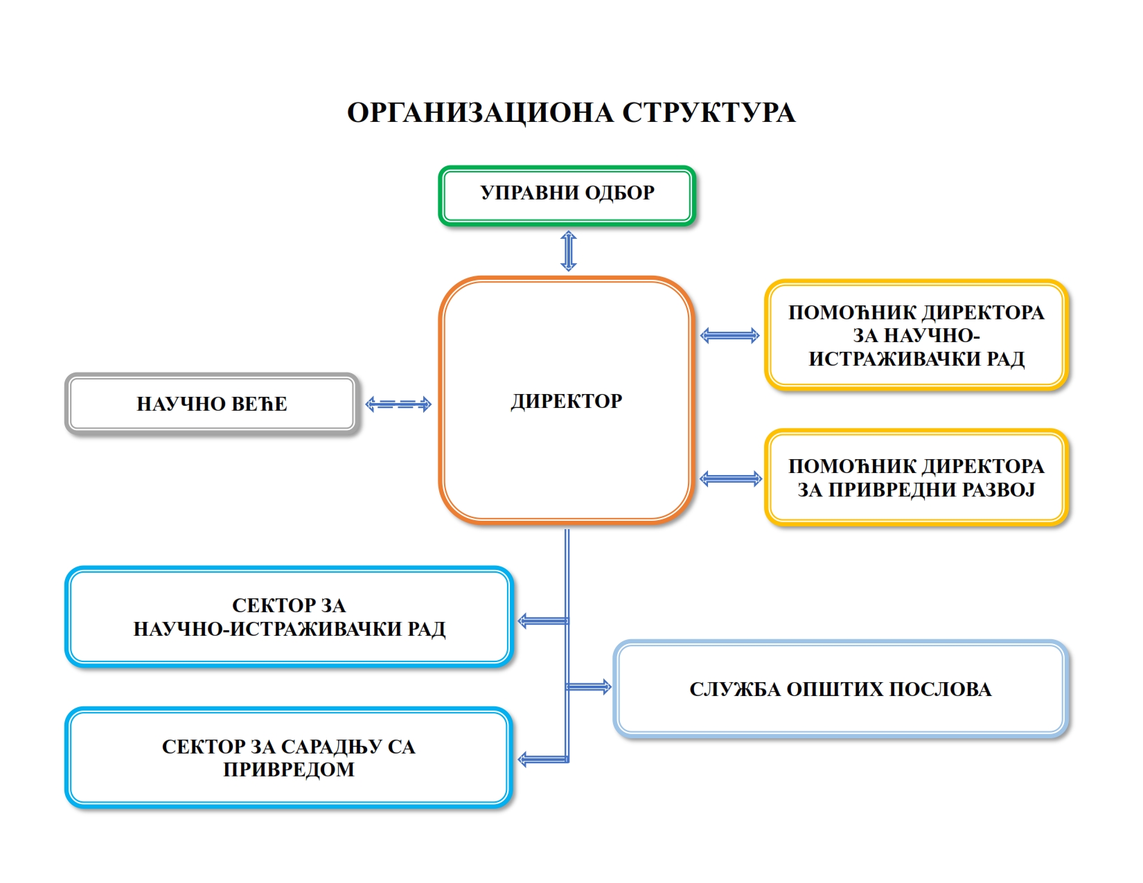 Organizaciona Struktura